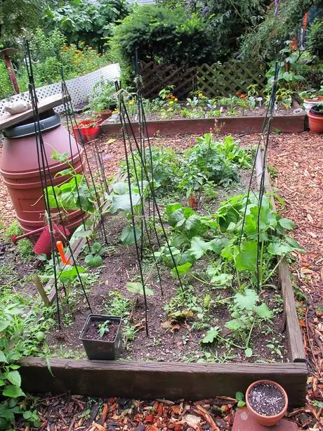 Общественный сад, 6_25_2012