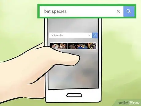 Привлечение летучих мышей в свой сад Шаг 1