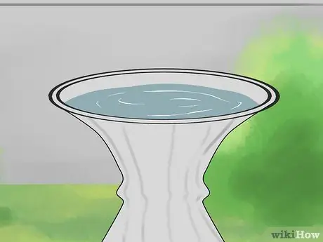 Привлечение летучих мышей в свой сад Шаг 2