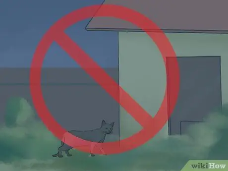 Привлечение летучих мышей в свой сад Шаг 4