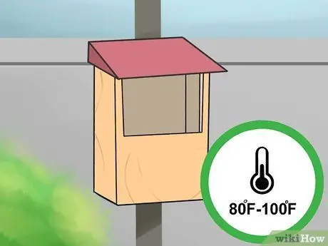 Привлечение летучих мышей в свой сад Шаг 9