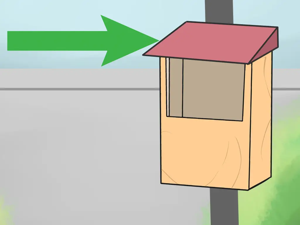 Как привлечь летучих мышей в свой сад: 11 шагов (с иллюстрациями)