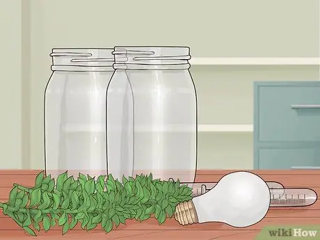 Показать кислород - побочный продукт фотосинтеза Шаг 1