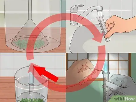 Показать кислород - побочный продукт фотосинтеза Шаг 11