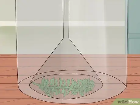 Показать кислород - побочный продукт фотосинтеза Шаг 4