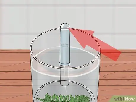 Показать кислород - побочный продукт фотосинтеза Шаг 8