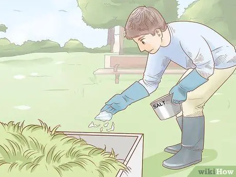 Уход за скотом Шаг 10