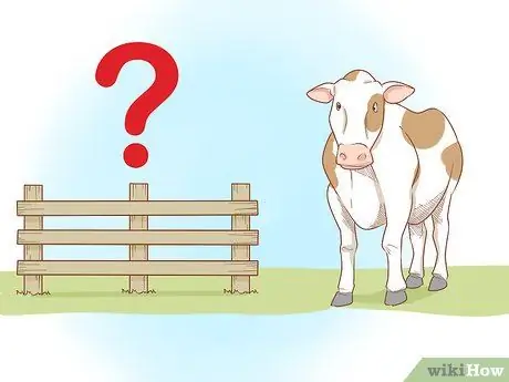 Уход за скотом Шаг 3