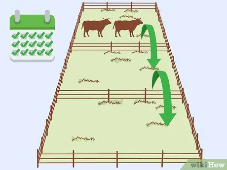 Уход за скотом Шаг 6