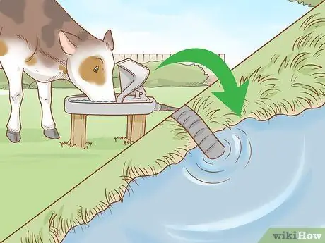 Уход за скотом Шаг 8