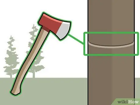 Убить кедровые деревья, шаг 12