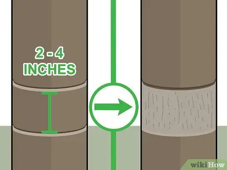 Убить кедровые деревья, шаг 13