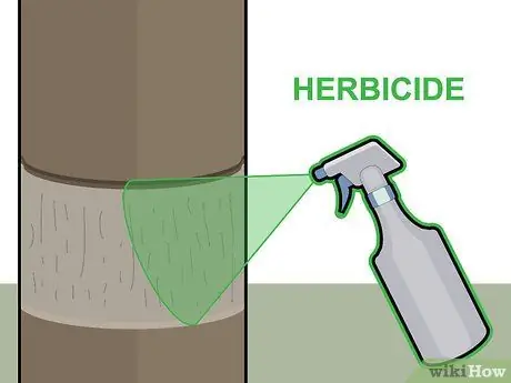 Убить кедровые деревья, шаг 14