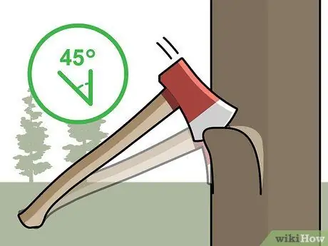 Убить кедровые деревья, шаг 2