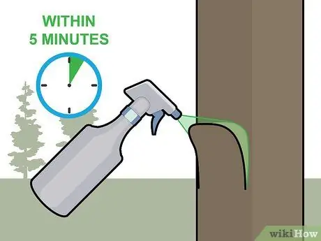 Убить кедровые деревья, шаг 3