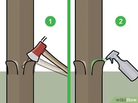 Убить кедровые деревья, шаг 4