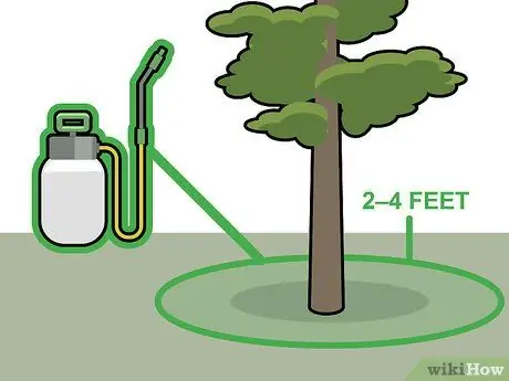 Убить кедровые деревья, шаг 7