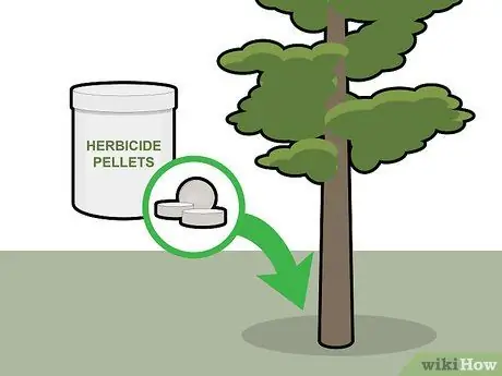 Убить кедровые деревья, шаг 8