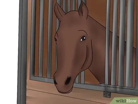 Нейтрализация аммиака Шаг 15