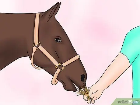 Нейтрализация аммиака Шаг 19