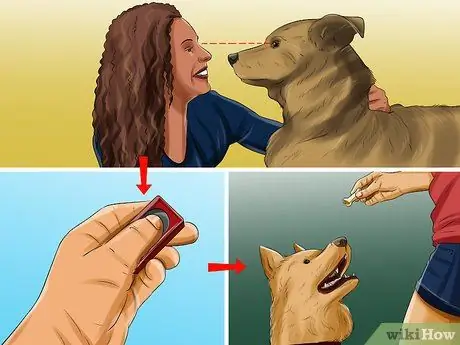 Дрессировка служебной собаки с посттравматическим стрессовым расстройством, шаг 1