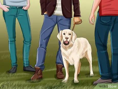 Дрессировка служебной собаки, страдающей посттравматическим стрессовым расстройством, шаг 3