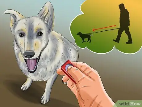 Дрессировка служебной собаки с посттравматическим стрессовым расстройством Шаг 8