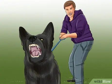 Дрессировка служебной собаки с посттравматическим стрессовым расстройством Шаг 9