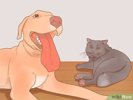 Получите служебную собаку Шаг 5