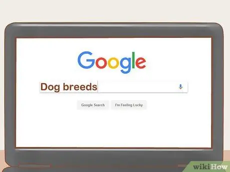 Заведите служебную собаку Шаг 6