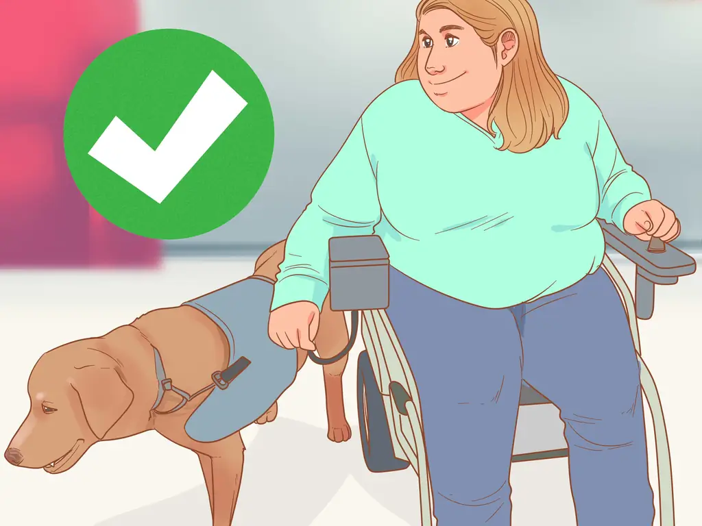 Как завести служебную собаку: 15 шагов (с иллюстрациями)