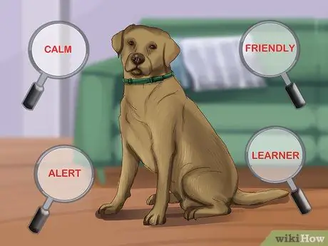 Получите документы о служебной собаке, шаг 1