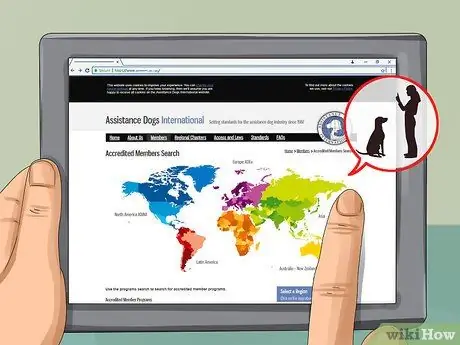 Получите документы о служебной собаке, шаг 3