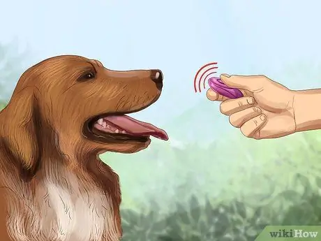 Получите документы о служебной собаке Шаг 4