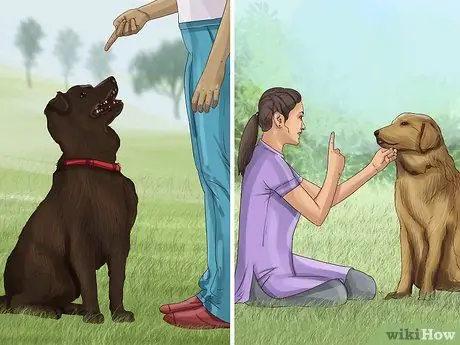 Получите документы о служебной собаке Шаг 6