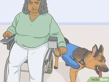 Определите служебную собаку Шаг 1