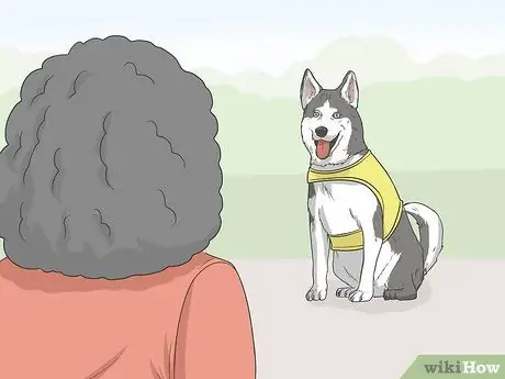 Определение служебной собаки Шаг 6