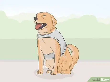 Определение служебной собаки Шаг 9