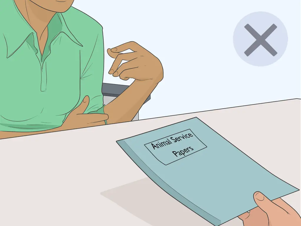 3 способа идентифицировать служебную собаку