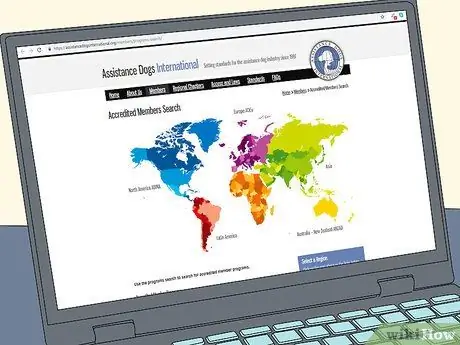 Заведите служебную собаку, страдающую посттравматическим стрессовым расстройством, шаг 1