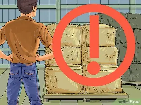 Уход за овцами Шаг 8