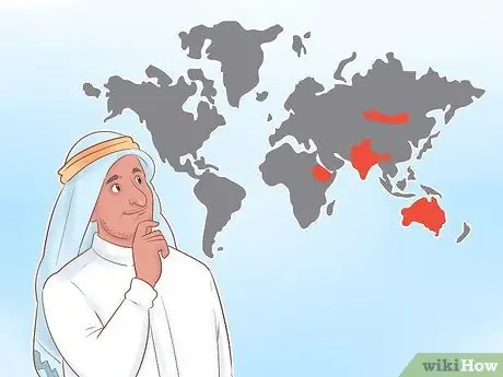 Купить Camel Step 14