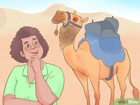 Купить Camel Step 18
