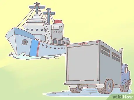 Купить Camel Step 6