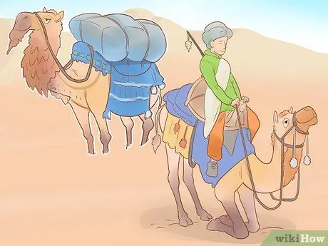 Купить Camel Step 8