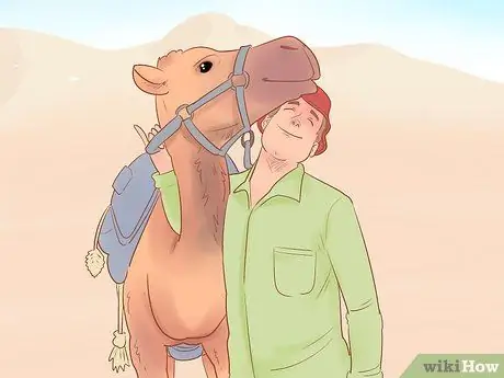 Купить Camel Step 9