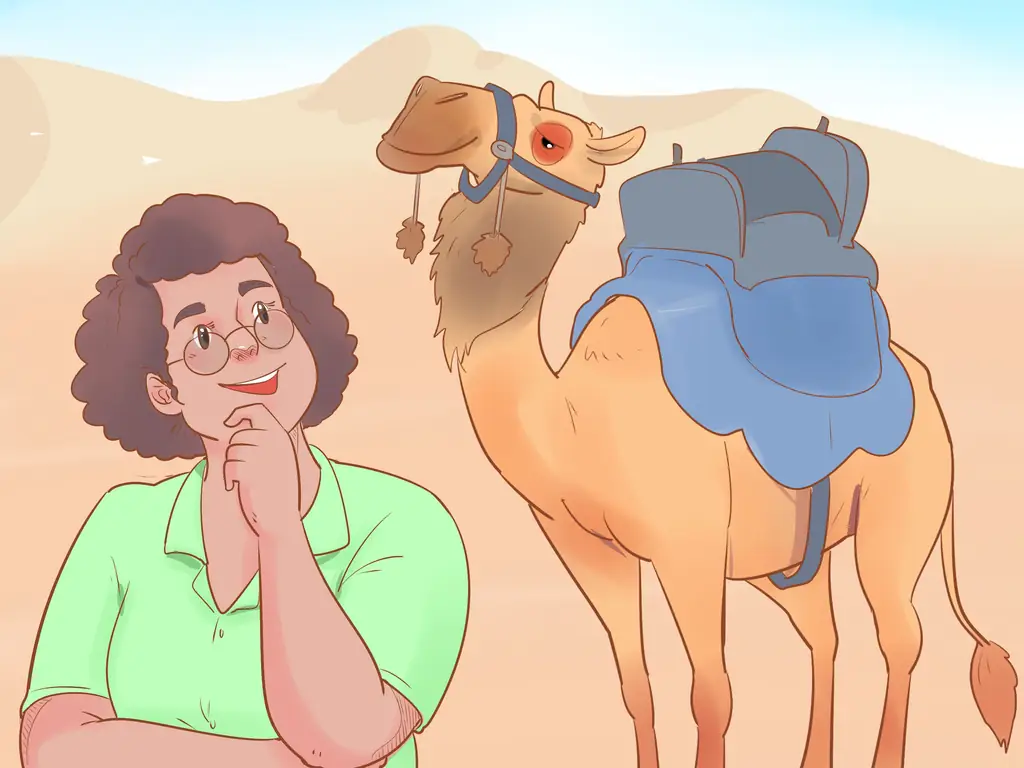 Как купить верблюда (с картинками)