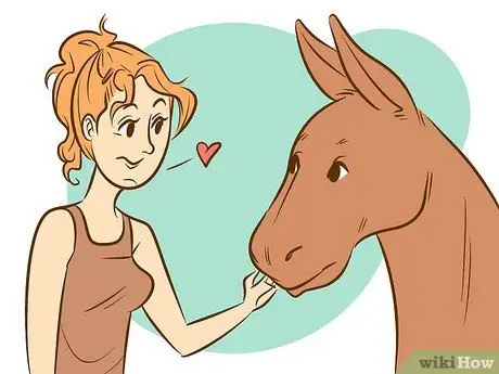 Прокатиться на осле Шаг 8