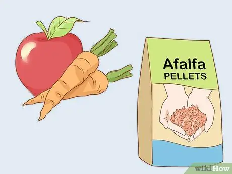 Уход за верблюдом Шаг 4