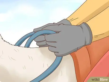 Прокатиться на ламе. Шаг 4